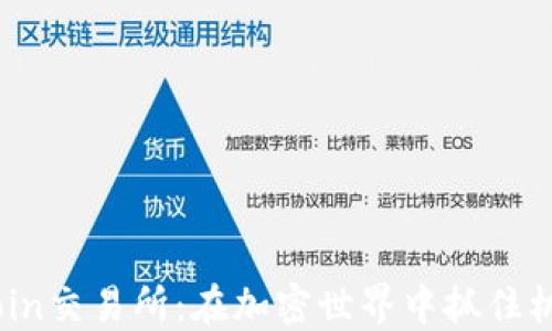 
探索Trust Coin交易所：在加密世界中抓住机会的最佳平台