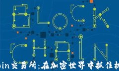 探索Trust Coin交易所：在加