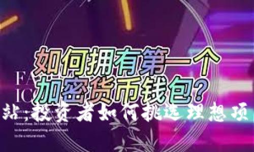 虚拟币ICO网站：投资者如何挑选理想项目的完全指南