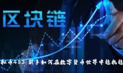 虚拟币483：新手如何在数