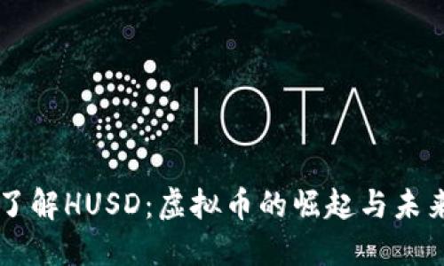 深入了解HUSD：虚拟币的崛起与未来展望