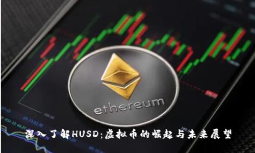 深入了解HUSD：虚拟币的崛起与未来展望