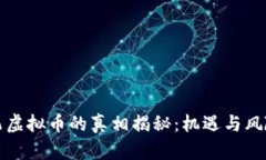 王鹏飞虚拟币的真相揭秘