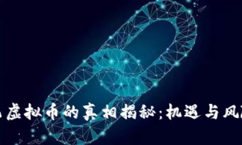王鹏飞虚拟币的真相揭秘：机遇与风险并存