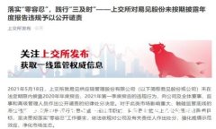 深入解析虚拟币分时线：