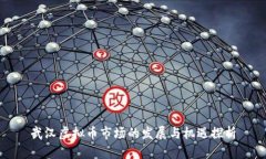 武汉虚拟币市场的发展与