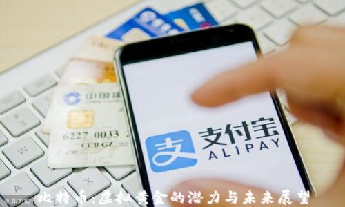 
比特币：虚拟黄金的潜力与未来展望