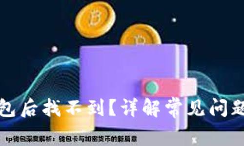 提币到TP钱包后找不到？详解常见问题与解决策略