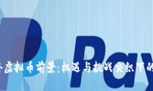 2024年国外虚拟币前景：机遇与挑战交织下的新财富法则