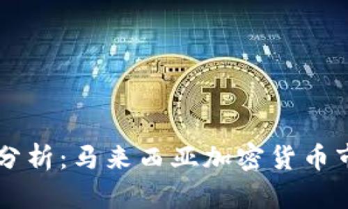 马币虚拟币价格分析：马来西亚加密货币市场的现状与未来