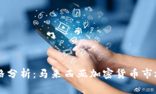 马币虚拟币价格分析：马来西亚加密货币市场的现状与未来
