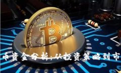 全面解析虚拟币资金分析