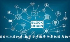 探索BIB虚拟币：数字货币