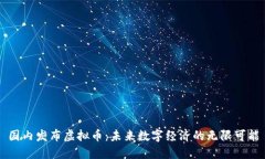国内发布虚拟币：未来数
