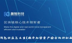 TP钱包被盗怎么查？揭开加密资产安全的神秘面纱