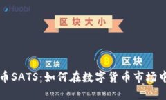 揭秘虚拟币SATS：如何在数字货币市场中脱颖而出