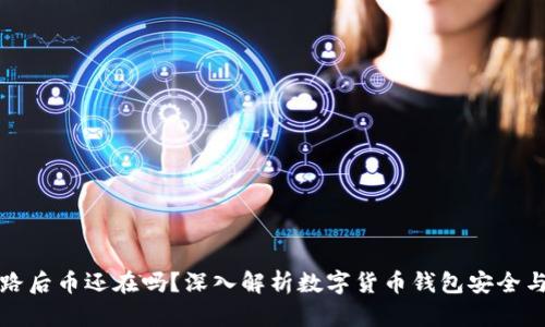 TP钱包跑路后币还在吗？深入解析数字货币钱包安全与资产保护