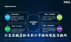江苏盐城虚拟币新兴市场的崛起与挑战