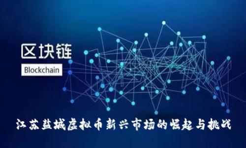 江苏盐城虚拟币新兴市场的崛起与挑战