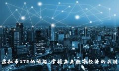 虚拟币STE的崛起：掌握未来数字经济的关键