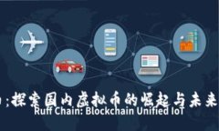DD币：探索国内虚拟币的崛