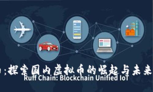DD币：探索国内虚拟币的崛起与未来趋势