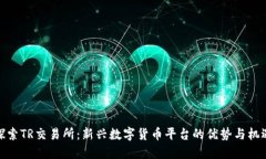 探索TR交易所：新兴数字货