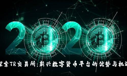 探索TR交易所：新兴数字货币平台的优势与机遇
