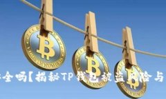 TP钱包安全吗？揭秘TP钱包