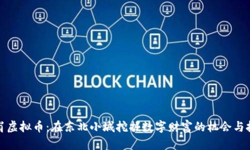 鹤岗虚拟币：在东北小城挖掘数字财富的机会与挑战
