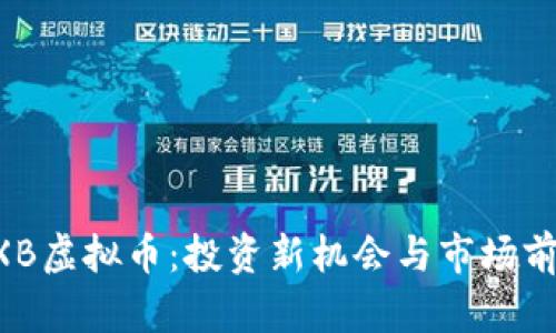 揭秘DXB虚拟币：投资新机会与市场前景分析