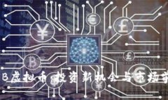 揭秘DXB虚拟币：投资新机