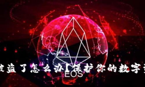 TP钱包助记词被盗了怎么办？保护你的数字资产的应急指南