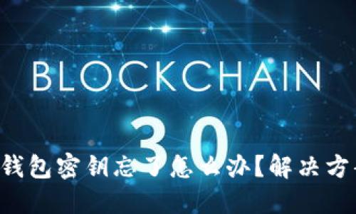 TokenPocket钱包密钥忘了怎么办？解决方案与防范措施