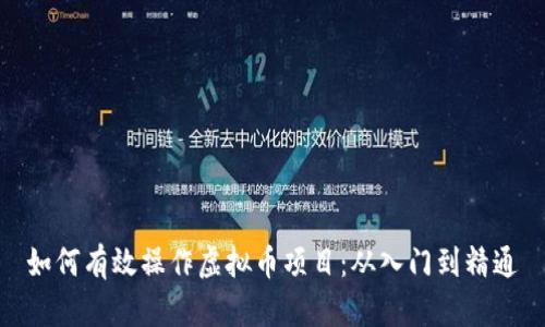 如何有效操作虚拟币项目：从入门到精通