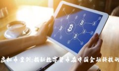 上海虚拟币案例：揭秘数