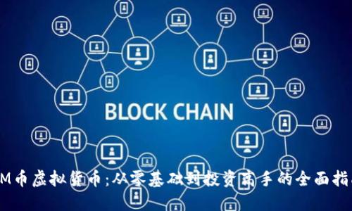RM币虚拟货币：从零基础到投资高手的全面指南