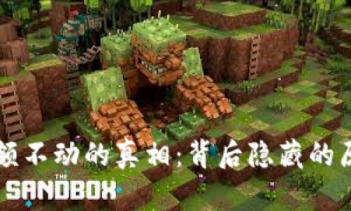 解密TP钱包余额不动的真相：背后隐藏的原因与解决方案