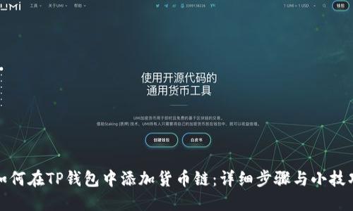 如何在TP钱包中添加货币链：详细步骤与小技巧