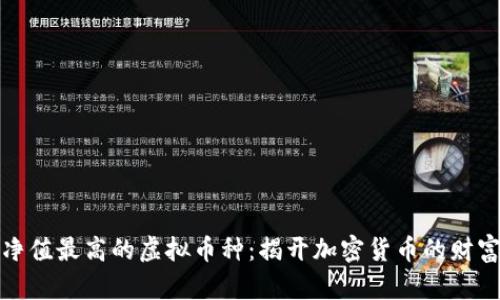 单币净值最高的虚拟币种：揭开加密货币的财富之谜