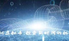 解密SZNC虚拟币：投资新时代的机会与挑战