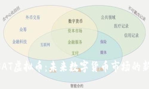 CSAT虚拟币：未来数字货币市场的新星