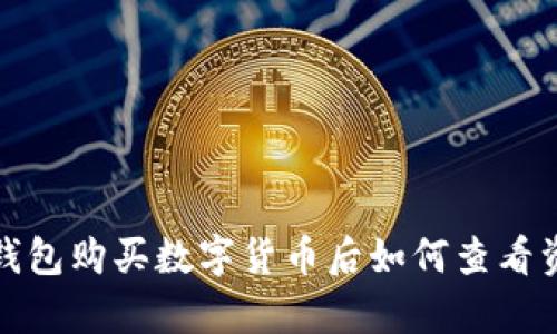 使用TP钱包购买数字货币后如何查看资产清单