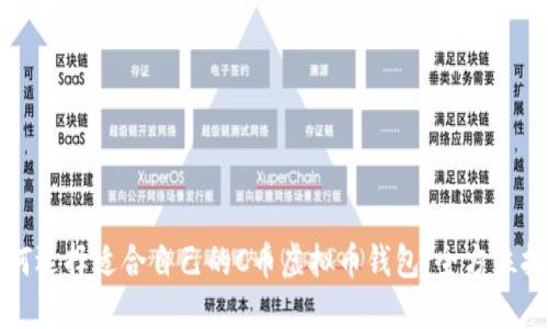 如何选择适合自己的C币虚拟币钱包：全方位指南