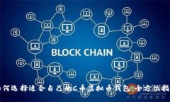 如何选择适合自己的C币虚拟币钱包：全方位指南