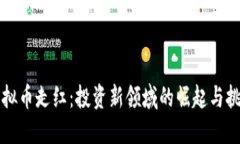 虚拟币走红：投资新领域的崛起与挑战