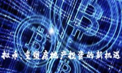 地产虚拟币：重塑房地产投资的新机遇与挑战